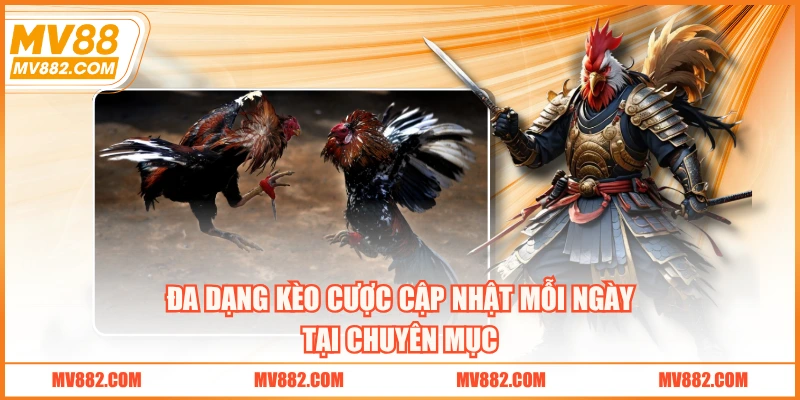 Đa dạng kèo cược cập nhật mỗi ngày tại chuyên mục